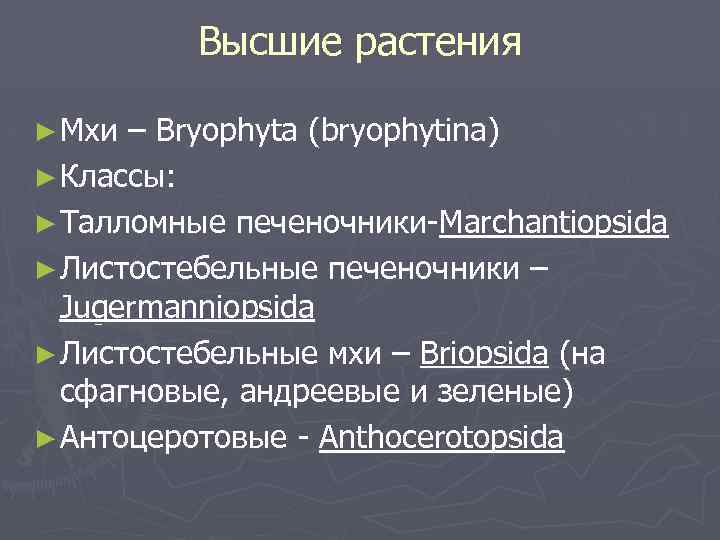 Высшие растения ► Мхи – Bryophyta (bryophytina) ► Классы: ► Талломные печеночники-Marchantiopsida ► Листостебельные
