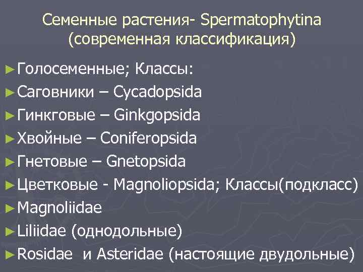 Семенные растения- Spermatophytina (современная классификация) ► Голосеменные; Классы: ► Саговники – Cycadopsida ► Гинкговые
