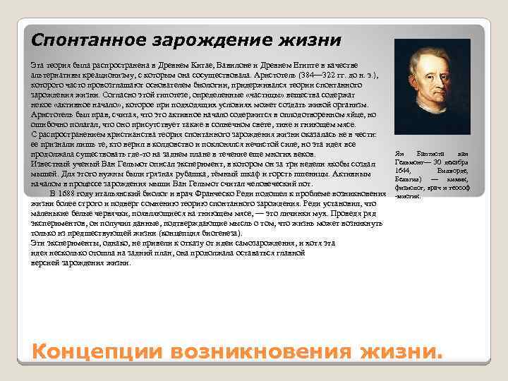 Спонтанное зарождение жизни Эта теория была распространена в Древнем Китае, Вавилоне и Древнем Египте