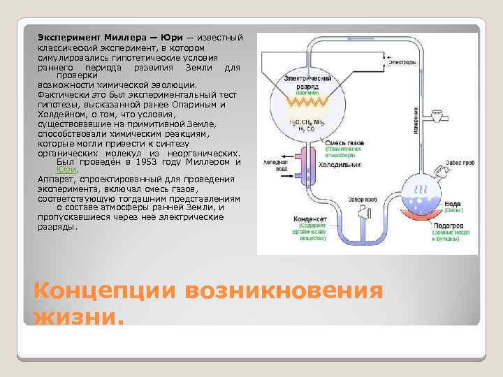 Эксперимент Миллера — Юри — известный классический эксперимент, в котором симулировались гипотетические условия раннего