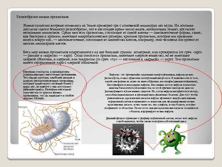 Разнообразие живых организмов Живые существа впервые появились на Земле примерно три с половиной миллиарда