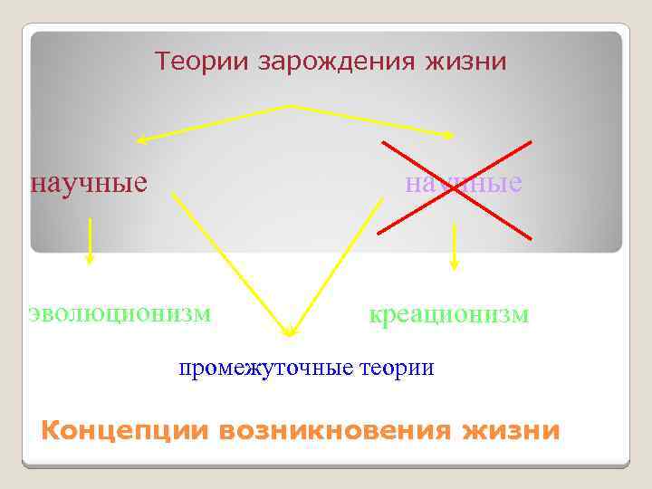 Теории зарождения жизни научные эволюционизм креационизм промежуточные теории Концепции возникновения жизни 
