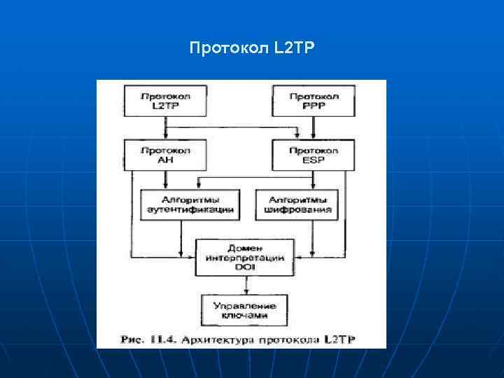 Протокол L 2 TP 