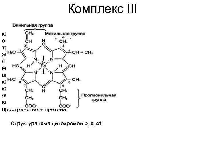 Комплекс III От двух атомов водорода, которые переносятся на комплекс III от Co. Q,