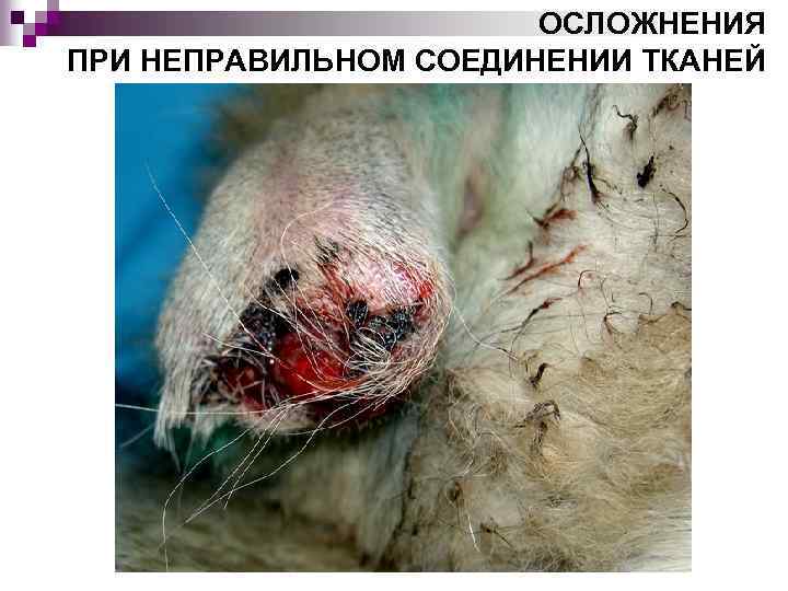 ОСЛОЖНЕНИЯ ПРИ НЕПРАВИЛЬНОМ СОЕДИНЕНИИ ТКАНЕЙ 