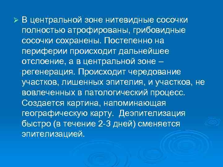 Ø В центральной зоне нитевидные сосочки полностью атрофированы, грибовидные сосочки сохранены. Постепенно на периферии