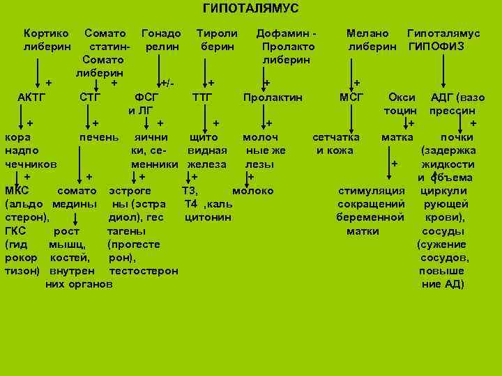 ГИПОТАЛЯМУС Кортико либерин Сомато Гонадо Тироли Дофамин Мелано Гипоталямус статин- релин берин Пролакто либерин