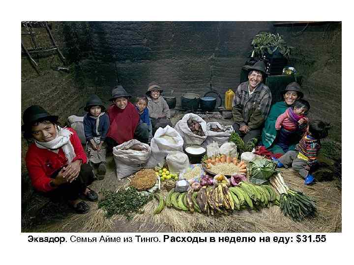 Эквадор. Семья Айме из Тинго. Расходы в неделю на еду: $31. 55 