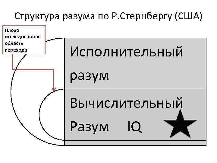 Структура разума по Р. Стернбергу (США) Плохо исследованная область перехода Исполнительный разум Вычислительный Разум