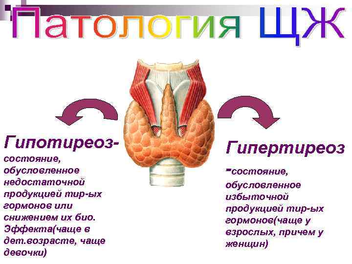 Гипотиреозсостояние, обусловленное недостаточной продукцией тир-ых гормонов или снижением их био. Эффекта(чаще в дет. возрасте,