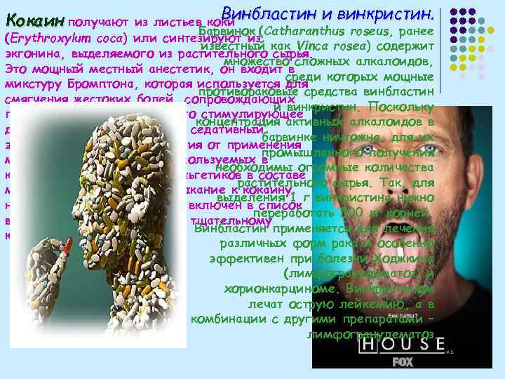 Кокаин получают Винбластин и винкристин. из листьев коки Барвинок (Catharanthus roseus, ранее (Erythroxylum coca)