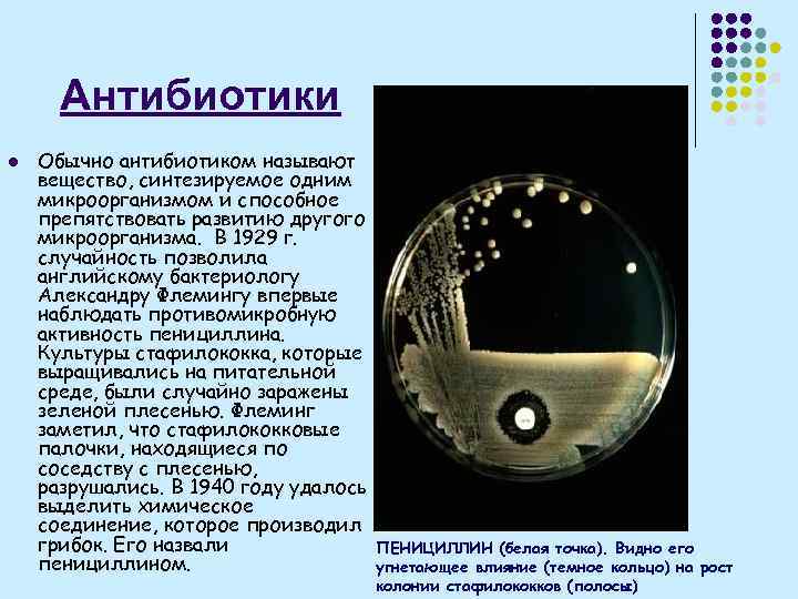 Антибиотики l Обычно антибиотиком называют вещество, синтезируемое одним микроорганизмом и способное препятствовать развитию другого
