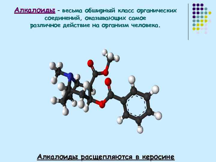 Алкалоиды – весьма обширный класс органических соединений, оказывающих самое различное действие на организм человека.