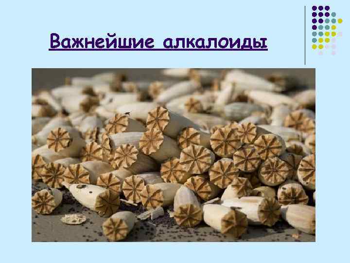 Важнейшие алкалоиды 