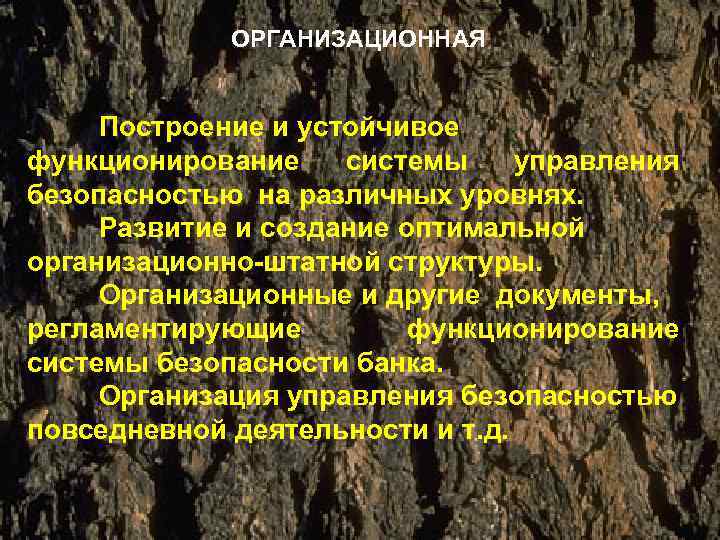 ОРГАНИЗАЦИОННАЯ Построение и устойчивое функционирование системы управления безопасностью на различных уровнях. Развитие и создание