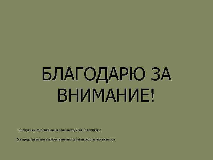 БЛАГОДАРЮ ЗА ВНИМАНИЕ! При создании презентации ни один инструмент не пострадал. Все представленные в