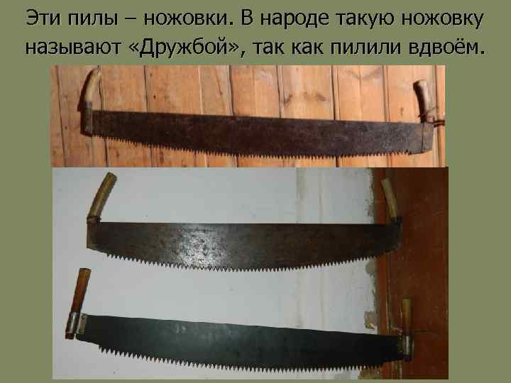 Эти пилы – ножовки. В народе такую ножовку называют «Дружбой» , так как пилили