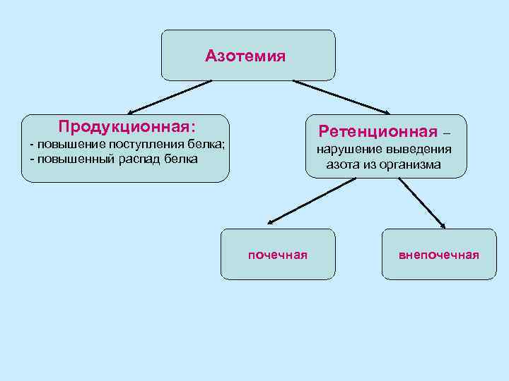 Азотемия Продукционная: Ретенционная – - повышение поступления белка; - повышенный распад белка нарушение выведения