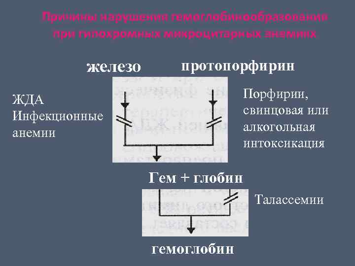 Причины нарушения гемоглобинообразования при гипохромных микроцитарных анемиях железо протопорфирин Порфирии, свинцовая или алкогольная интоксикация