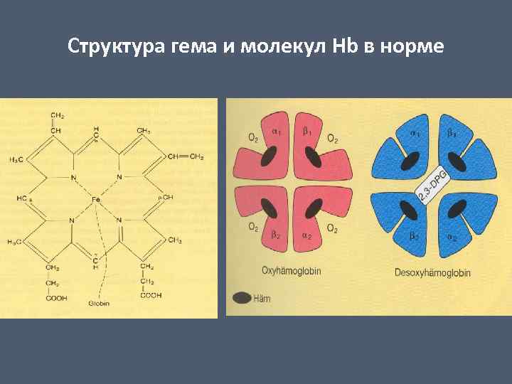 Структура е