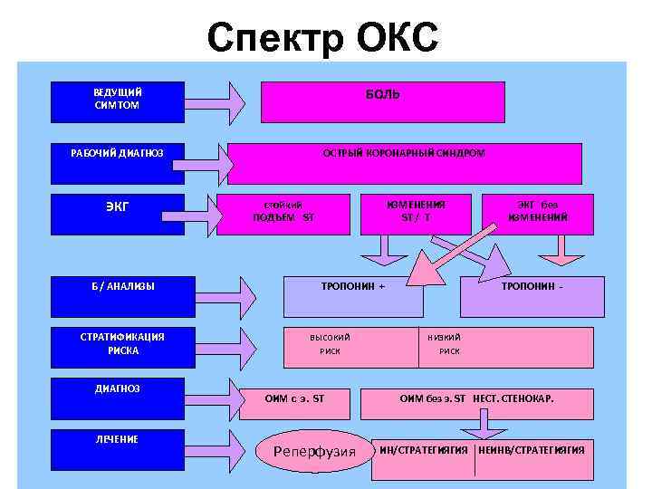 Спектр ОКС БОЛЬ ВЕДУЩИЙ СИМТОМ РАБОЧИЙ ДИАГНОЗ ЭКГ Б / АНАЛИЗЫ СТРАТИФИКАЦИЯ РИСКА ДИАГНОЗ