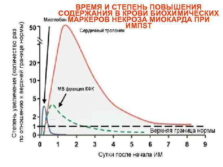 ВРЕМЯ И СТЕПЕНЬ ПОВЫШЕНИЯ СОДЕРЖАНИЯ В КРОВИ БИОХИМИЧЕСКИХ МАРКЕРОВ НЕКРОЗА МИОКАРДА ПРИ ИМПST 