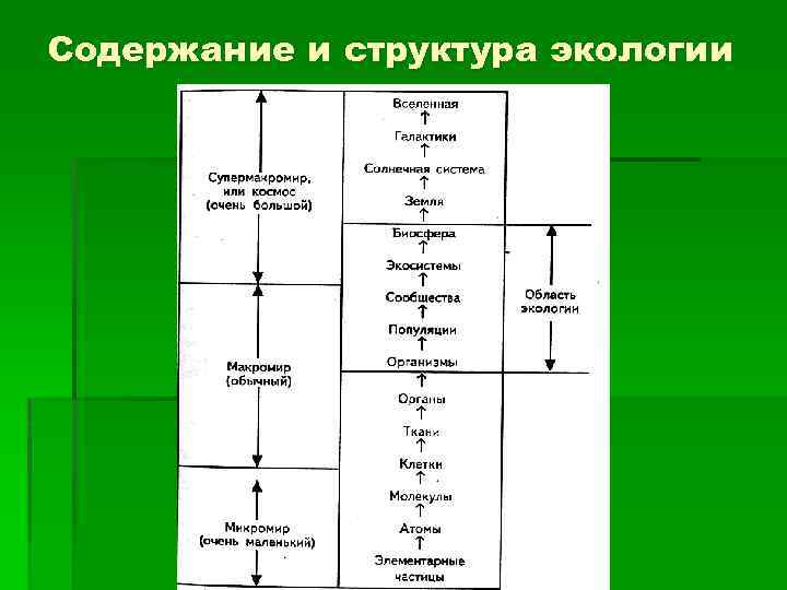 Содержание и структура экологии 