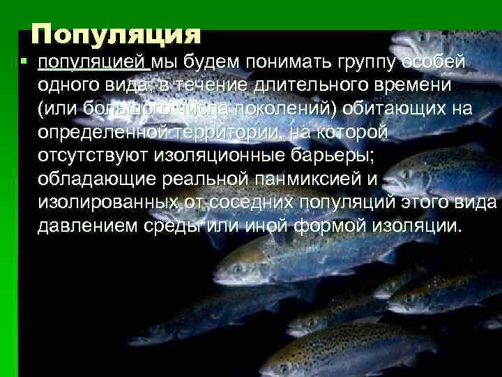 Популяция § популяцией мы будем понимать группу особей одного вида, в течение длительного времени