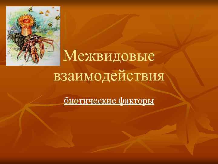 Межвидовые взаимодействия биотические факторы 