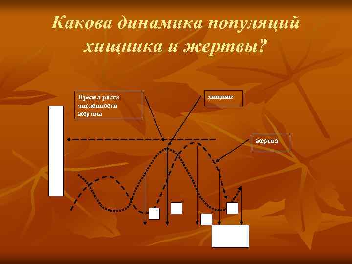 Какова динамика популяций хищника и жертвы? П Л О т н О С Т
