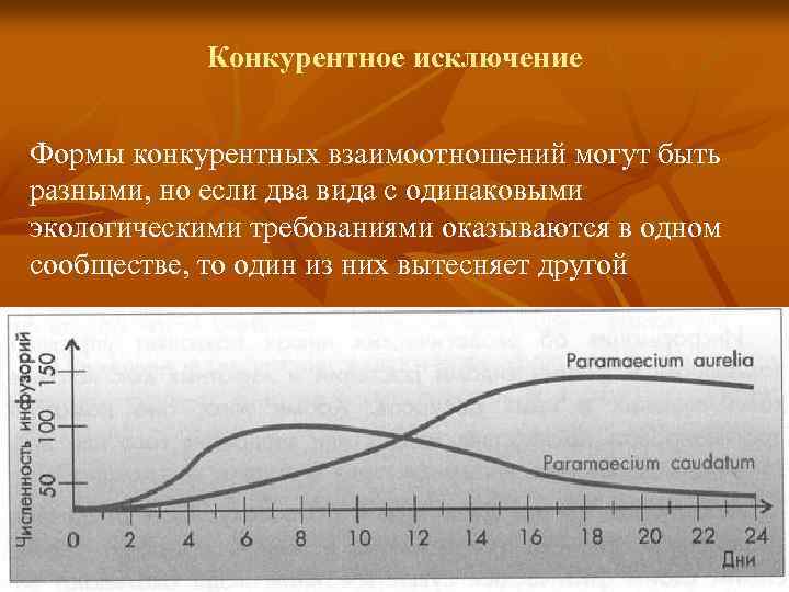Конкурентное исключение Формы конкурентных взаимоотношений могут быть разными, но если два вида с одинаковыми