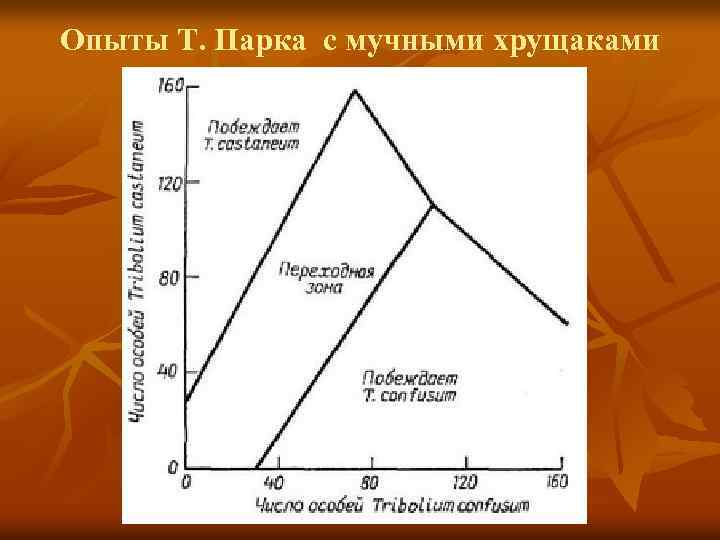 Опыты Т. Парка с мучными хрущаками 