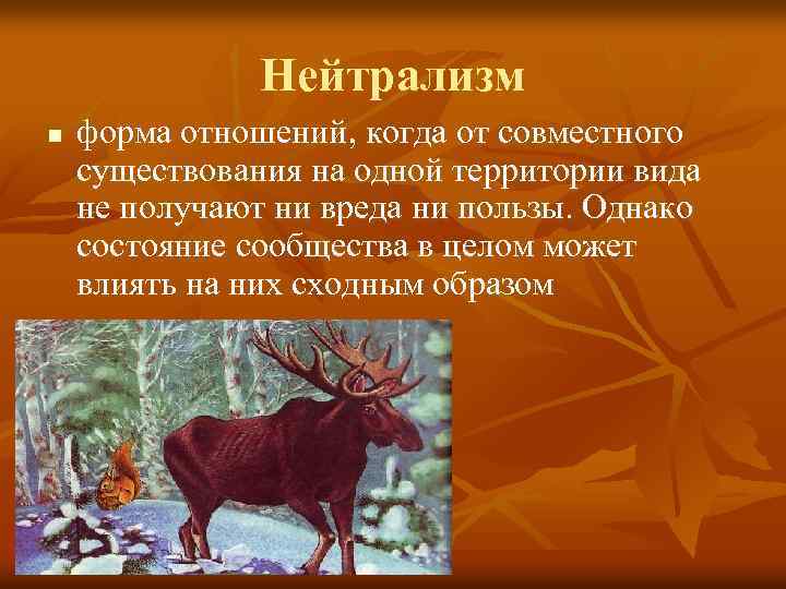 Нейтрализм n форма отношений, когда от совместного существования на одной территории вида не получают