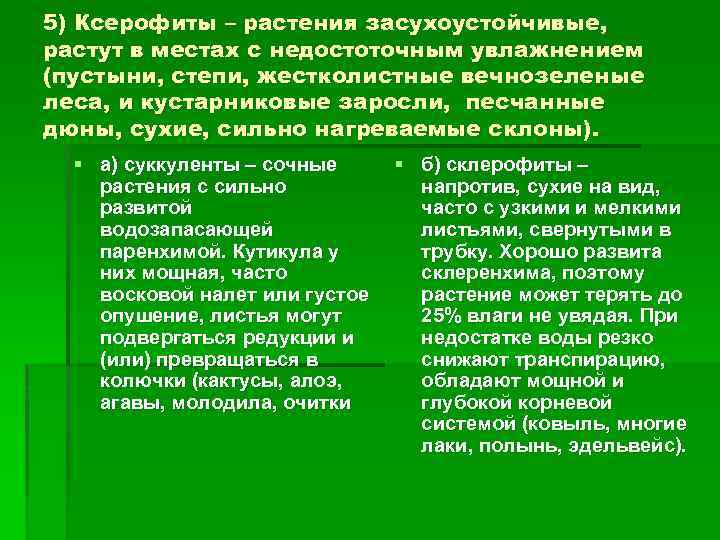 5) Ксерофиты – растения засухоустойчивые, растут в местах с недостоточным увлажнением (пустыни, степи, жестколистные