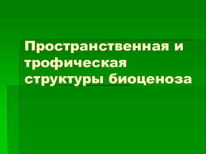 Пространственная и трофическая структуры биоценоза 