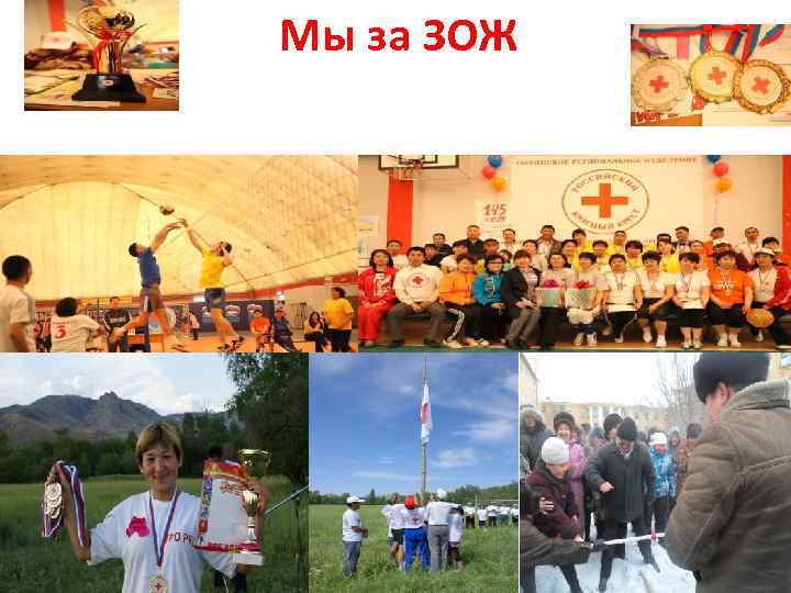 Мы за ЗОЖ 
