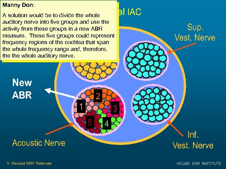 Manny Don: A solution would be to divide the whole auditory nerve into five