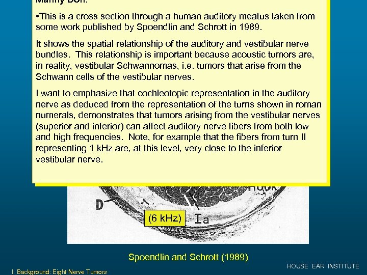 Manny Don: • This is a cross. Section: Humanauditory meatus Meatus Cross section through