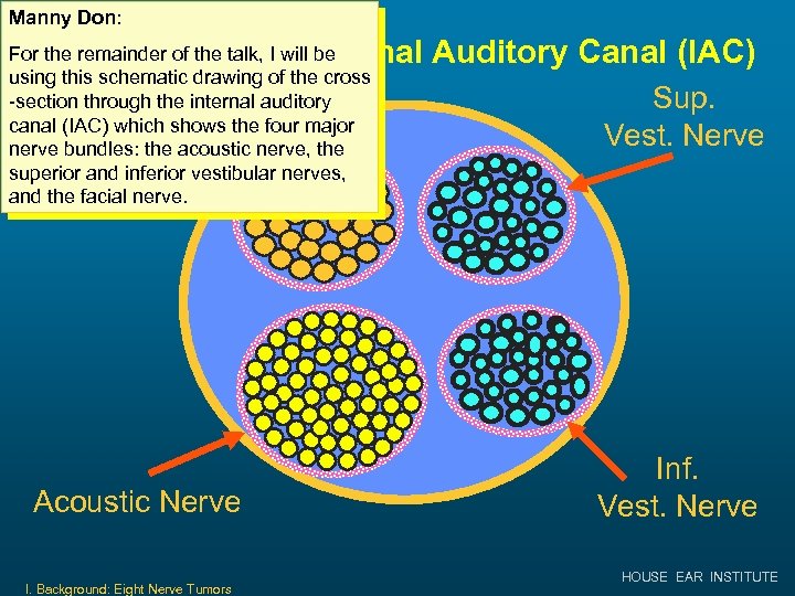 Manny Don: Cross-section of Internal Auditory Canal (IAC) For the remainder of the talk,