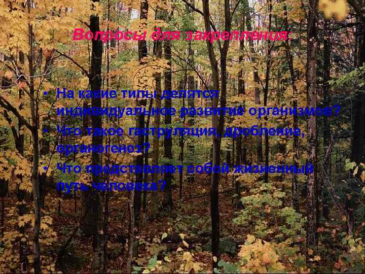 Вопросы для закрепления: • На какие типы делятся индивидуальное развитие организмов? • Что такое