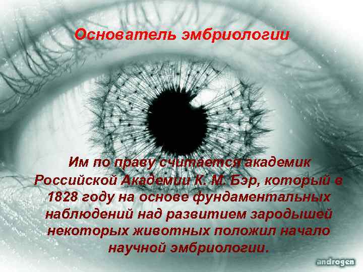 Основатель эмбриологии Им по праву считается академик Российской Академии К. М. Бэр, который в