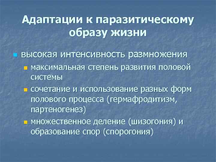 Адаптации к паразитическому образу жизни n высокая интенсивность размножения максимальная степень развития половой системы