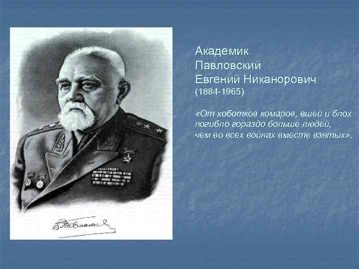 Академик Павловский Евгений Никанорович (1884 -1965) «От хоботков комаров, вшей и блох погибло гораздо