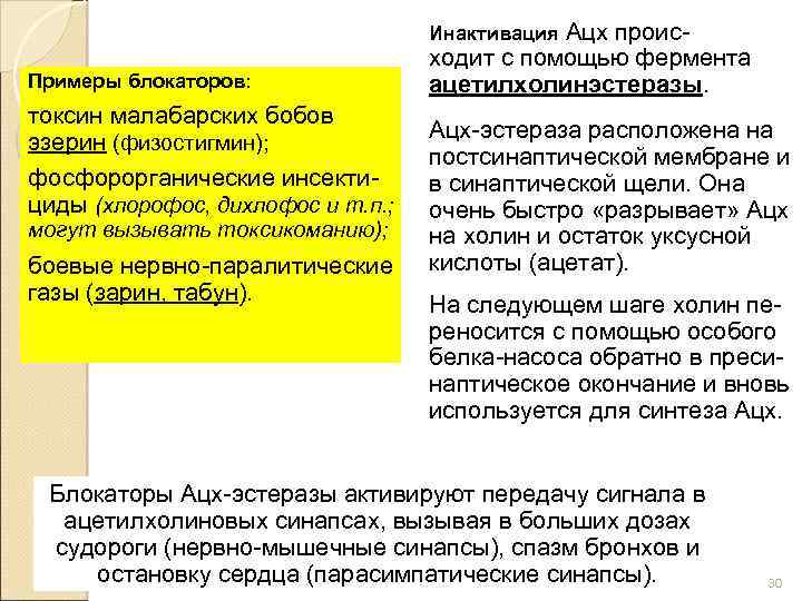 Инактивация Ацх проис Примеры блокаторов: токсин малабарских бобов эзерин (физостигмин); фосфорорганические инсекти циды (хлорофос,