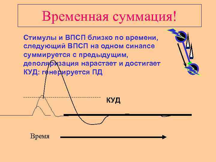 Временная суммация! Стимулы и ВПСП близко по времени, следующий ВПСП на одном синапсе суммируется