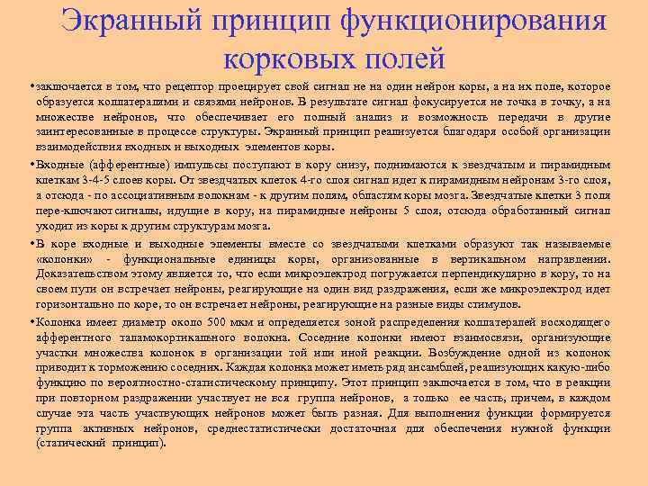Экранный принцип функционирования корковых полей • заключается в том, что рецептор проецирует свой сигнал