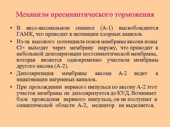 Механизм пресинаптического торможения • В аксональном синапсе (А 1) высвобождается ГАМК, что приводит к