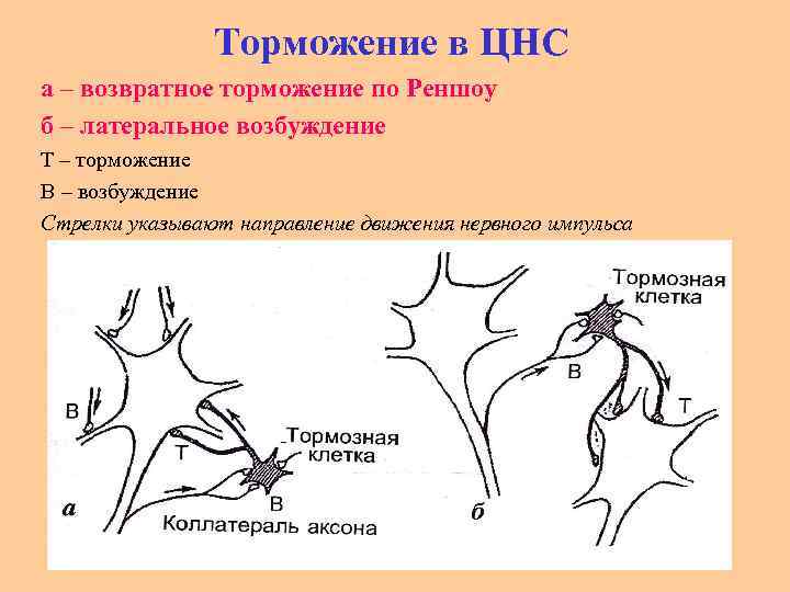 Соотнесите рисунок и вид торможения