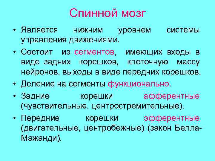 Спинной мозг • Является нижним уровнем системы управления движениями. • Состоит из сегментов, имеющих