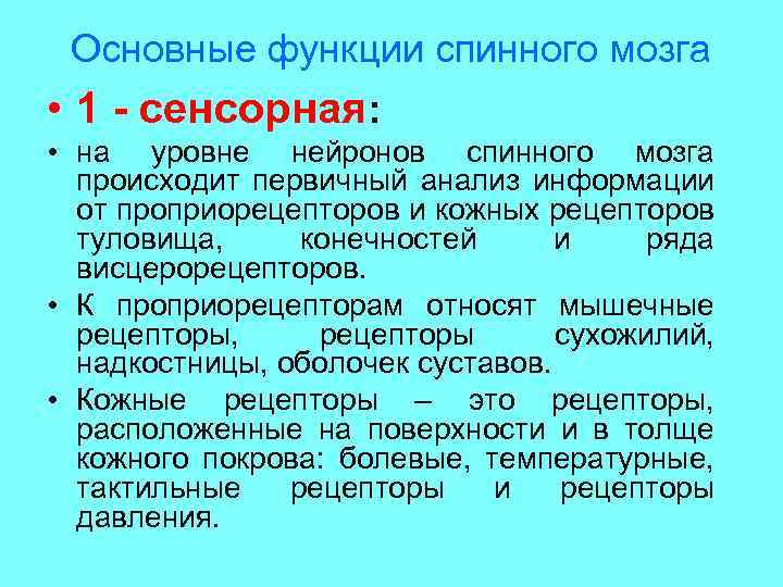 Каковы функции спинного